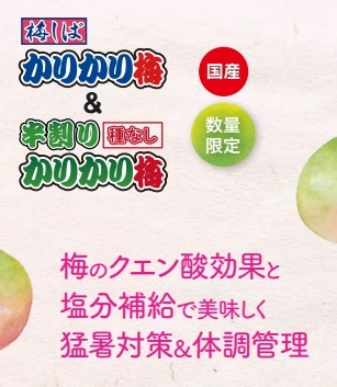 国産　かりかり梅（梅しば）