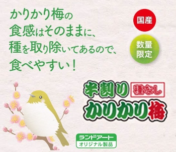 国産　半割かりかり梅（種なし）