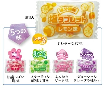 レクノスの塩タブレット５兄弟
