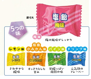 レクノスの塩飴五兄弟
