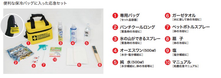 熱中症処置応急セット ラージ