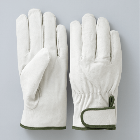 P228白/LL　豚クレストマジック