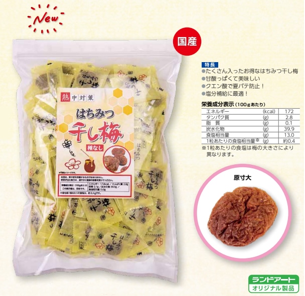 種なし はちみつ干し梅